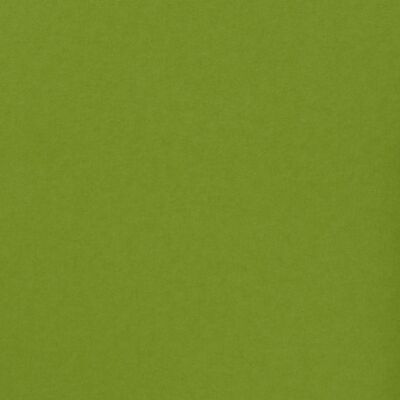 Florence Cardstock smooth A4, 216g, 10 Blatt, Farbe: lime