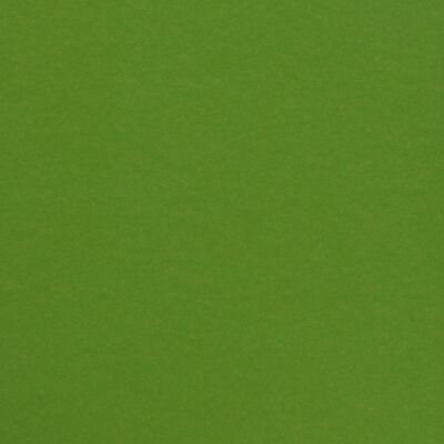 Florence Cardstock smooth A4, 216g, 10 Blatt, Farbe: frog