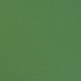 Florence Cardstock smooth A4, 216g, 10 Blatt, Farbe: emerald