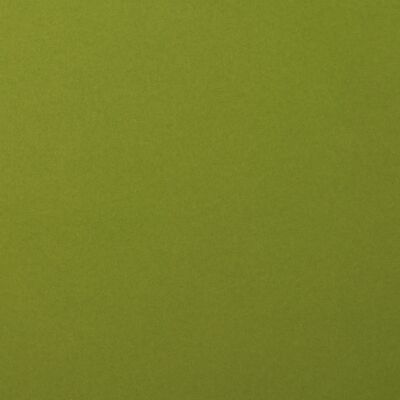 Florence Cardstock smooth A4, 216g, 10 Blatt, Farbe: olive