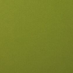 Florence Cardstock smooth A4, 216g, 10 Blatt, Farbe: olive