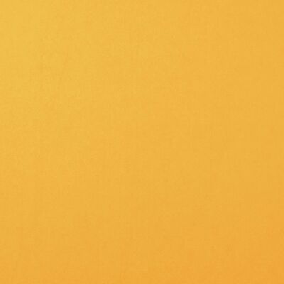 Florence Cardstock smooth A4, 216g, 10 Blatt, Farbe: bee