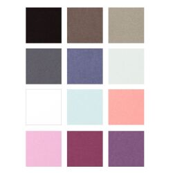 Florence Cardstock smooth Multipack, A4, 216g, 12x5...