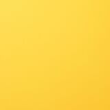 Florence Cardstock smooth 30,5 x 30,5, 216g, 20 Blatt, Farbe: lemon yellow