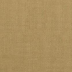 Florence Cardstock texture A4, 216g, 10 Blatt, Farbe: peanut