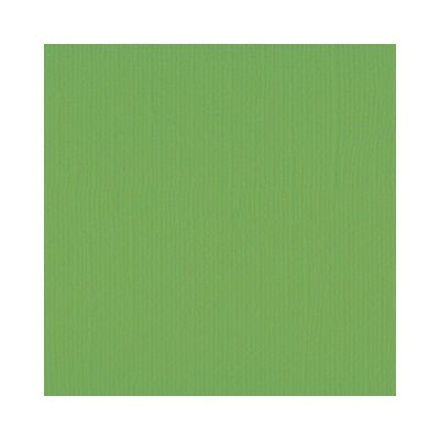 Florence Cardstock texture A4, 216g, 10 Blatt, Farbe: frog