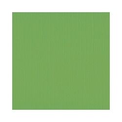 Florence Cardstock texture A4, 216g, 10 Blatt, Farbe: frog
