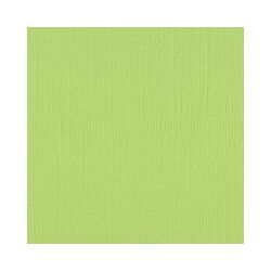 Florence Cardstock texture A4, 216g, 10 Blatt, Farbe: celery