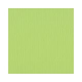 Florence Cardstock texture A4, 216g, 10 Blatt, Farbe: celery