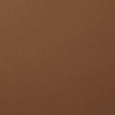 Florence Cardstock smooth 30,5 x 30,5, 216g, 20 Blatt, Farbe: hazelnut