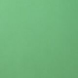 Florence Cardstock smooth 30,5 x 30,5, 216g, 20 Blatt, Farbe: emerald