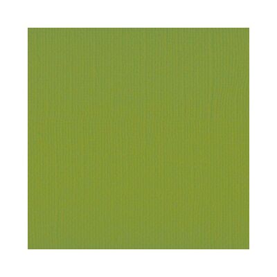 Florence Cardstock texture A4, 216g, 10 Blatt, Farbe: fern