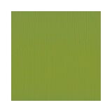 Florence Cardstock texture A4, 216g, 10 Blatt, Farbe: fern