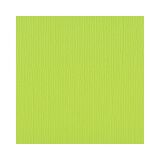 Florence Cardstock texture A4, 216g, 10 Blatt, Farbe: lime