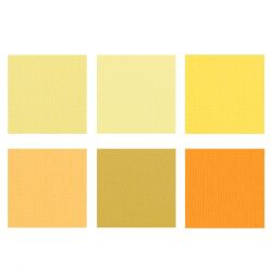 Florence Cardstock texture Multipack, 30,5x30,5, 216g, 24...