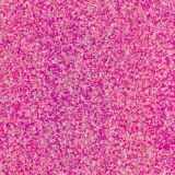 WOW Embossingpulver 15ml, Glitters, Farbe: Bubblicious